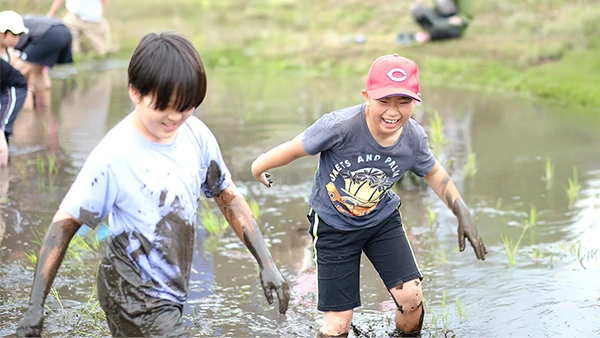 田植えの様子